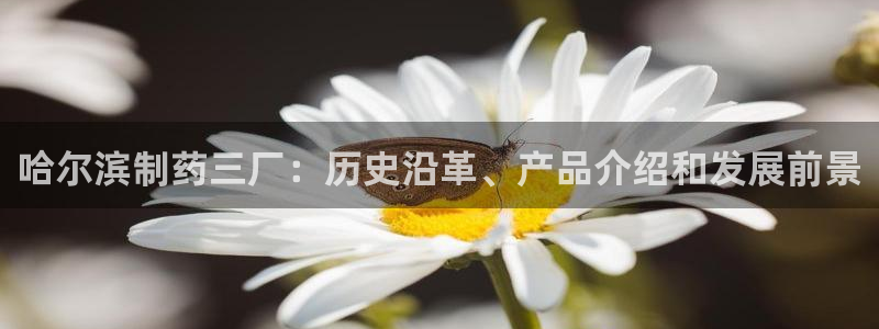 九游老哥俱乐部官网登录网址：哈尔滨制药三厂：历史沿革、产品介绍和发展前景