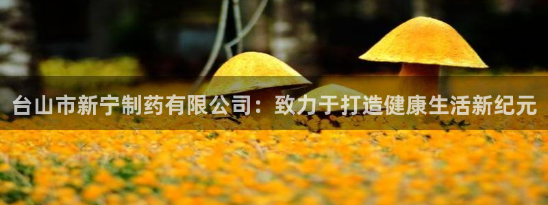 九游会老哥俱乐部官网首页论坛：台山市新宁制药有限公司：致力于打造健康生活新纪元