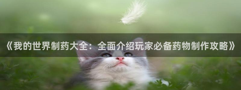 ag九游会老哥：《我的世界制药大全：全面介绍玩家必备药物制作攻略》
