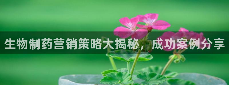 老哥俱乐部是干什么的啊：生物制药营销策略大揭秘，成功案例分享