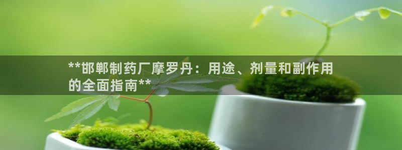ag九游会老哥：**邯郸制药厂摩罗丹：用途、剂量和副作用
的全面指南**