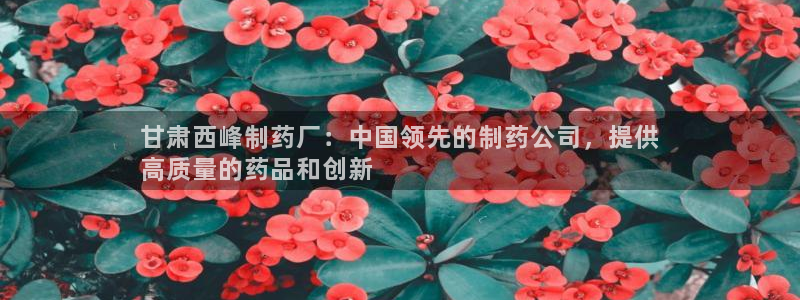 九游会老哥必备的交流社区九：甘肃西峰制药厂：中国领先的制药公司，提供
高质量的药品和创新
