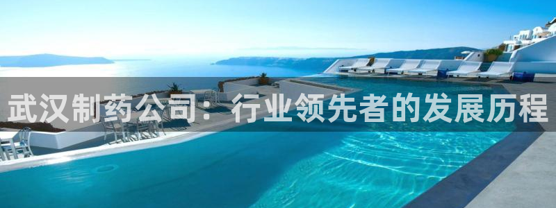 九游会老哥俱乐部官网：武汉制药公司：行业领先者的发展历程