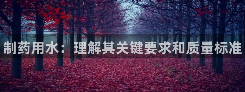 九游老哥俱乐部官网登录不了：制药用水：理解其关键要求和质量标准