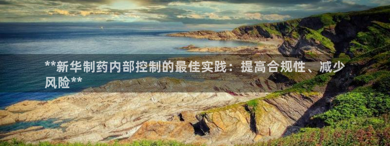 9游会老哥俱乐部：**新华制药内部控制的最佳实践：提高合规性、减少
风险**