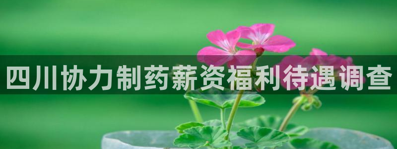 九游会老哥俱乐部官网首页论坛：四川协力制药薪资福利待遇调查