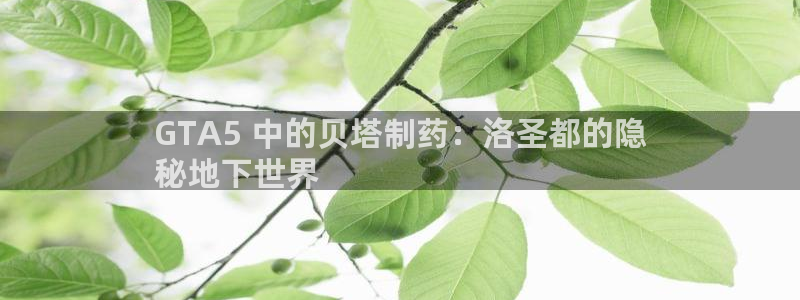 九游会老哥：GTA5 中的贝塔制药：洛圣都的隐
秘地下世界