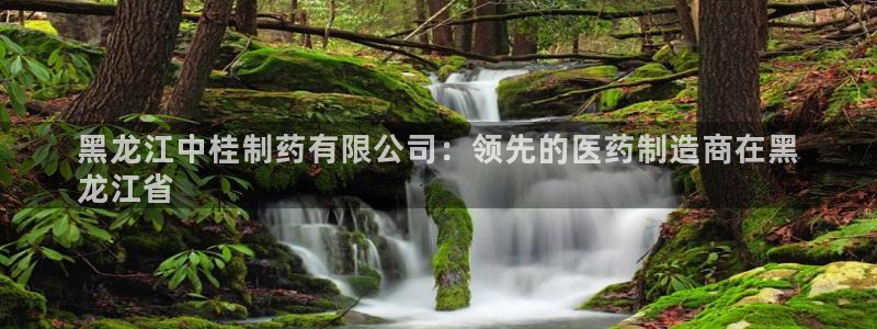 九游老哥俱乐部官网登录不了：黑龙江中桂制药有限公司：领先的医药制造商在黑
龙江省