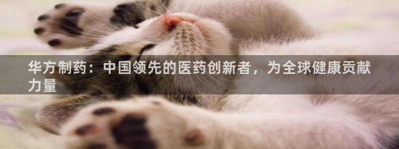 9游会老哥：华方制药：中国领先的医药创新者，为全球健康贡献
力量