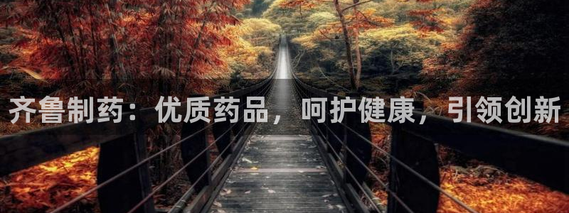 9游会老哥俱乐部：齐鲁制药：优质药品，呵护健康，引领创新