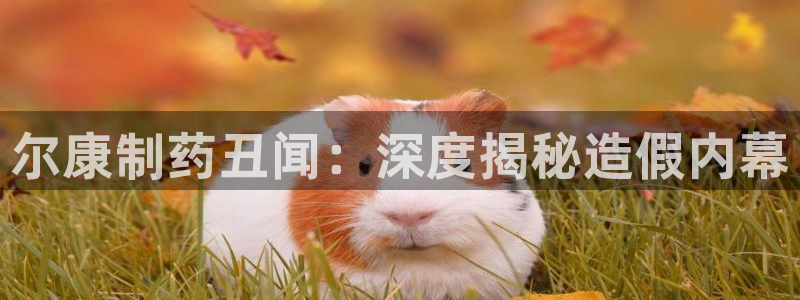 ag九游会老哥：尔康制药丑闻：深度揭秘造假内幕