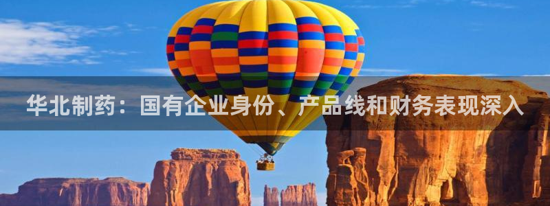 九游会老哥俱乐部必备的交流社区：华北制药：国有企业身份、产品线和财务表现深入
