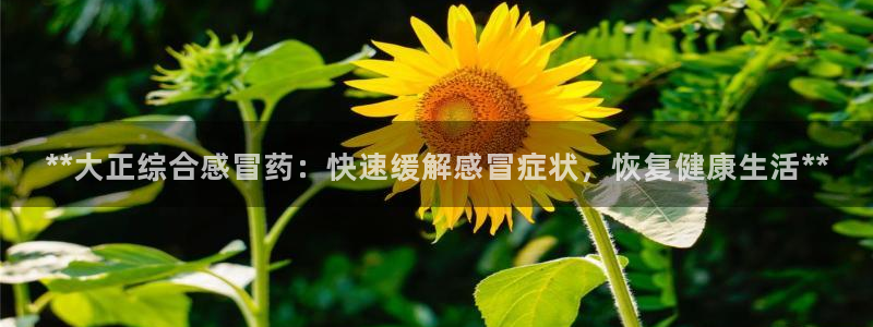 九游会老哥俱乐部：**大正综合感冒药：快速缓解感冒症状，恢复健康生活**