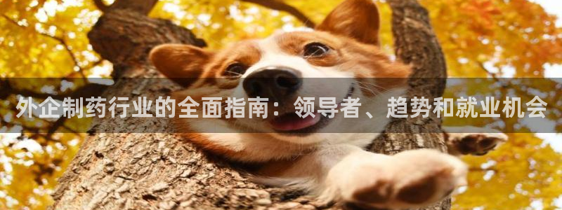 九游会老哥俱乐部官网首页论坛：外企制药行业的全面指南：领导者、趋势和就业机会