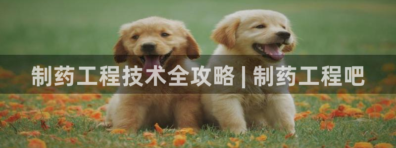 j9九游会老哥俱乐部交流区：制药工程技术全攻略 | 制药工程吧