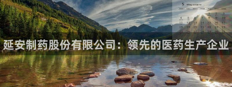 九游会老哥俱乐部官方网站：延安制药股份有限公司：领先的医药生产企业