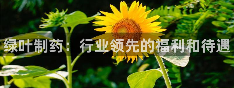 九游会老哥俱乐部官网：绿叶制药：行业领先的福利和待遇