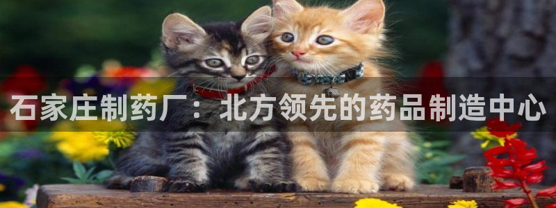 九游老哥俱乐部登录：石家庄制药厂：北方领先的药品制造中心