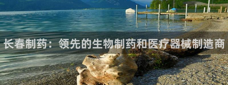九游会老哥必备的交流社区九：长春制药：领先的生物制药和医疗器械制造商