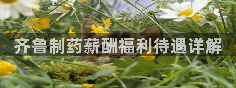 ag九游会老哥俱乐部：齐鲁制药薪酬福利待遇详解