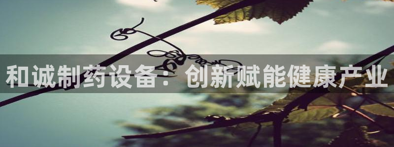 9游会老哥：和诚制药设备：创新赋能健康产业
