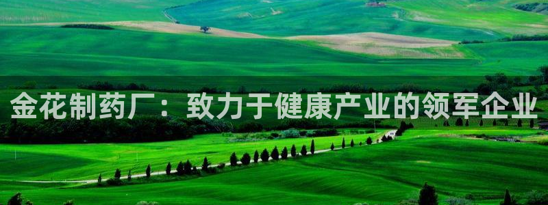 九游会老哥必备的交流社区九：金花制药厂：致力于健康产业的领军企业