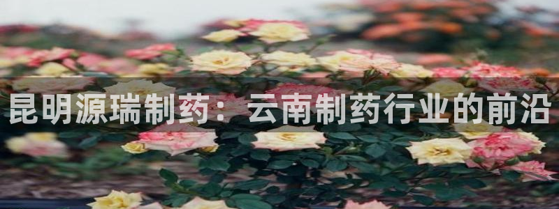 usdt九游会老哥俱乐部：昆明源瑞制药：云南制药行业的前沿