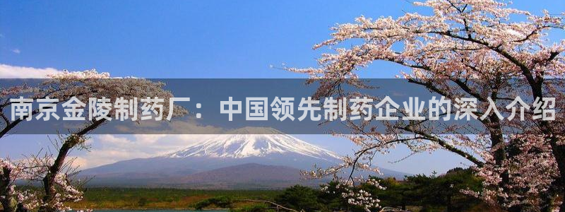 9游会老哥：南京金陵制药厂：中国领先制药企业的深入介绍