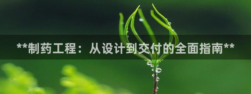 ag九游会老哥俱乐部：**制药工程：从设计到交付的全面指南**