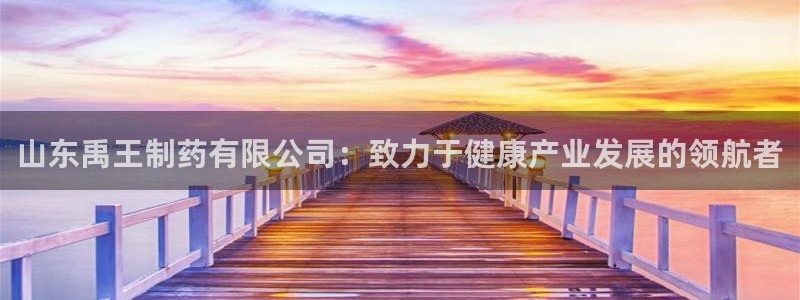 九游老哥俱乐部官网登录：山东禹王制药有限公司：致力于健康产业发展的领航者