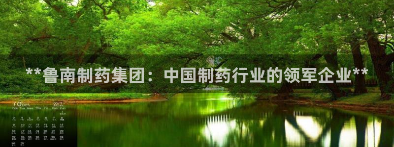 九游老哥俱乐部官网登录：**鲁南制药集团：中国制药行业的领军企业**